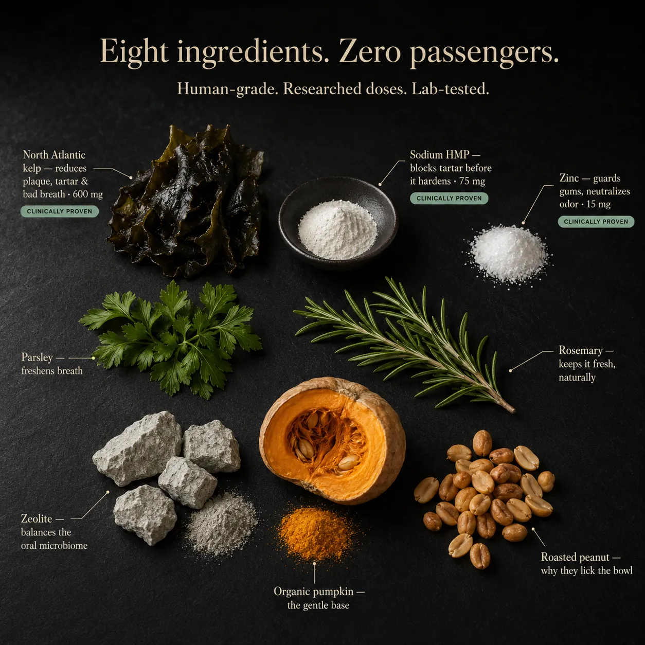 Eight ingredients, zero passengers. Annotated flat-lay of kelp, minerals, herbs, pumpkin, and the savory flavor base with doses and benefits